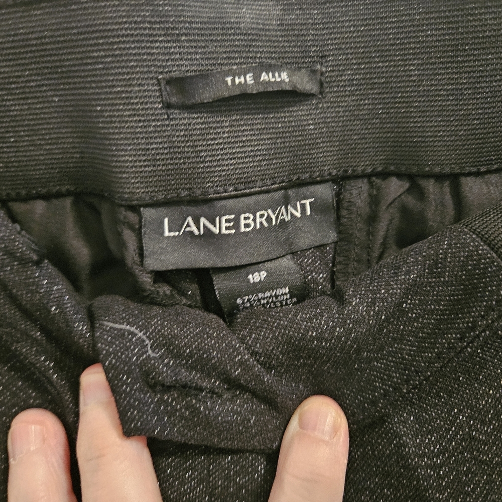 Dress Pants